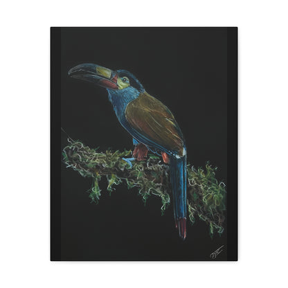 Toucan Blue Canvas Print