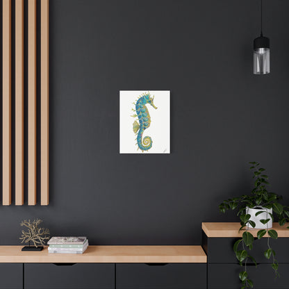 Seahorse Canvas Print