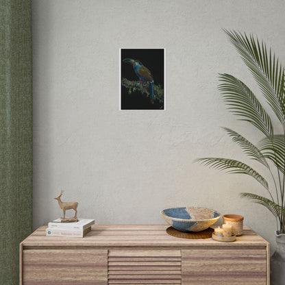 Toucan Blue Fine Art Print