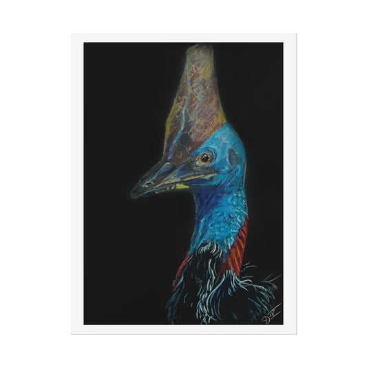 Cassowary Fine Art Print