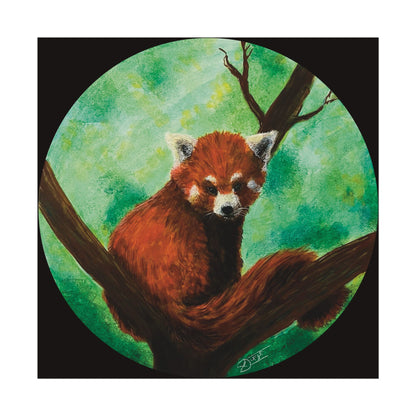 Red Panda Fine Art Print