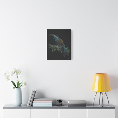 Toucan Blue Canvas Print