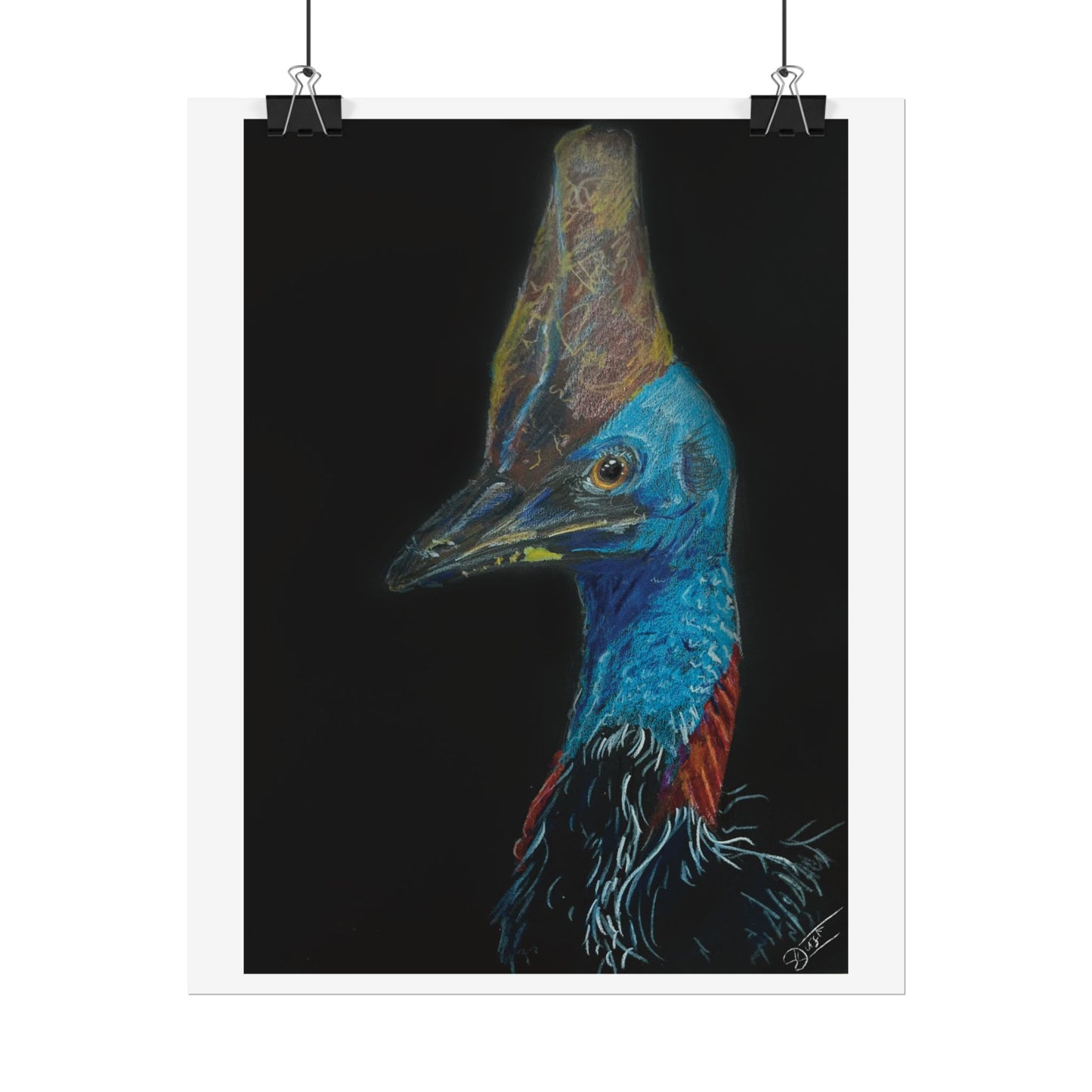 Cassowary Fine Art Print