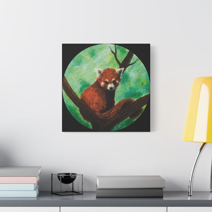 Red Panda Canvas Print