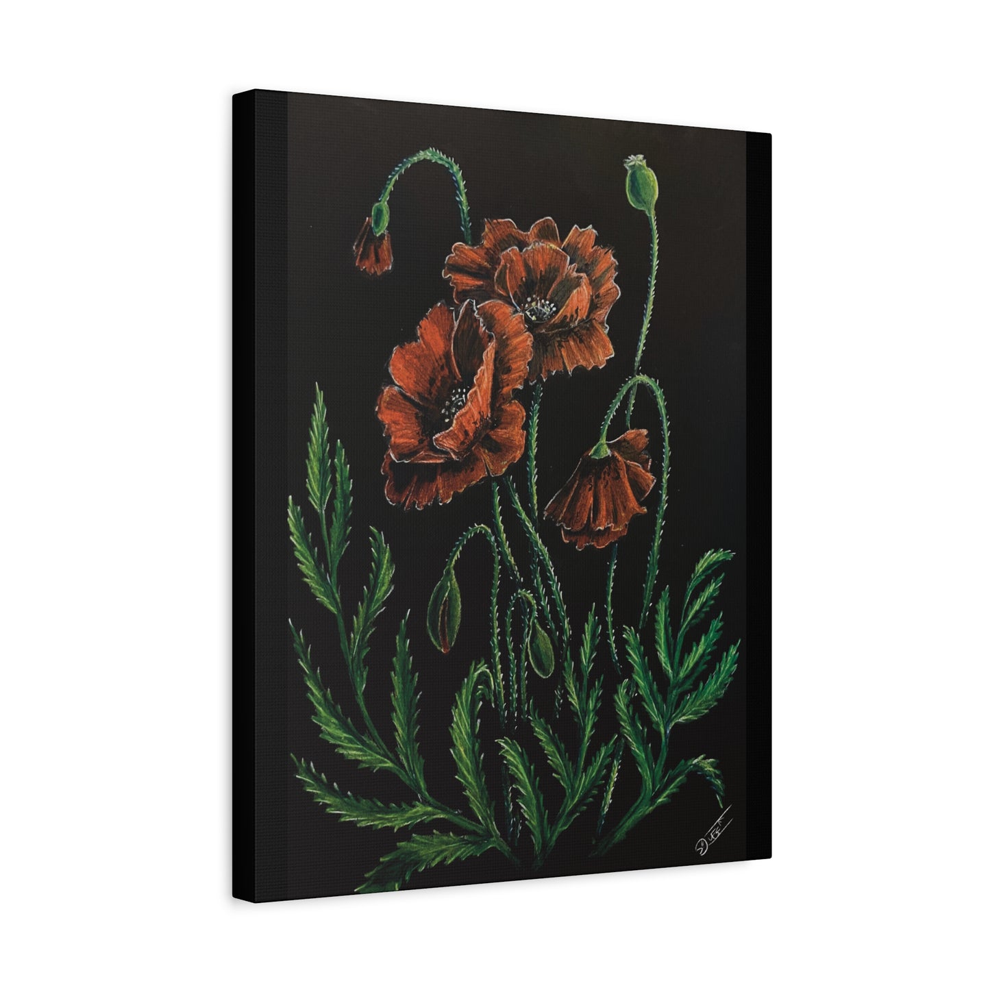 Poppy Bloom Canvas Print