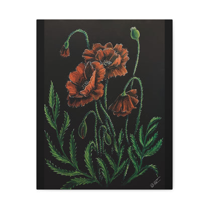 Poppy Bloom Canvas Print