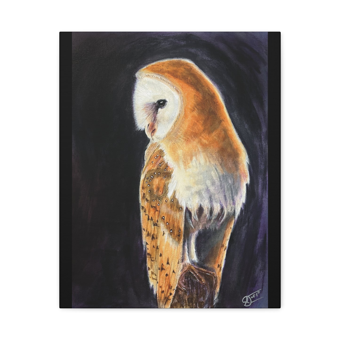 Barn Owl Canvas Print