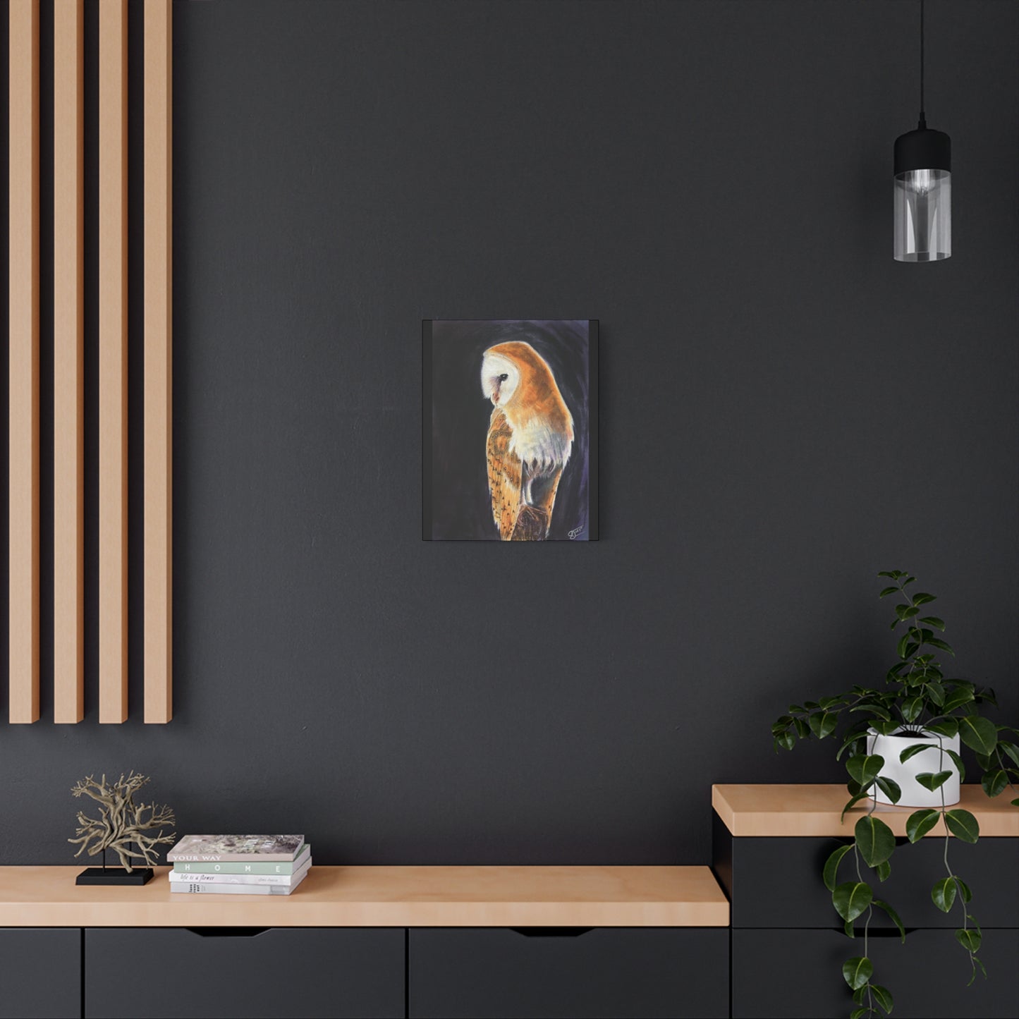 Barn Owl Canvas Print