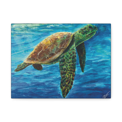 Sea Turtle Canvas Print