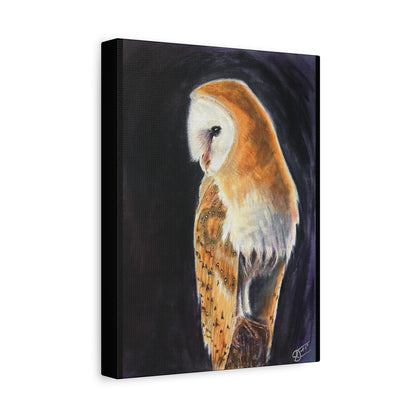 Barn Owl Canvas Print