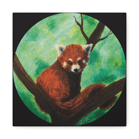 Red Panda Canvas Print