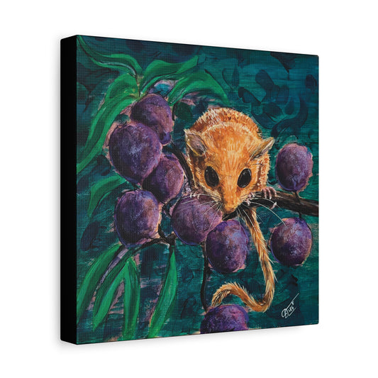 Dormouse Canvas Print