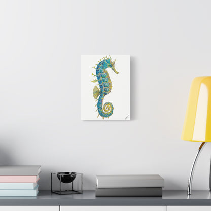 Seahorse Canvas Print