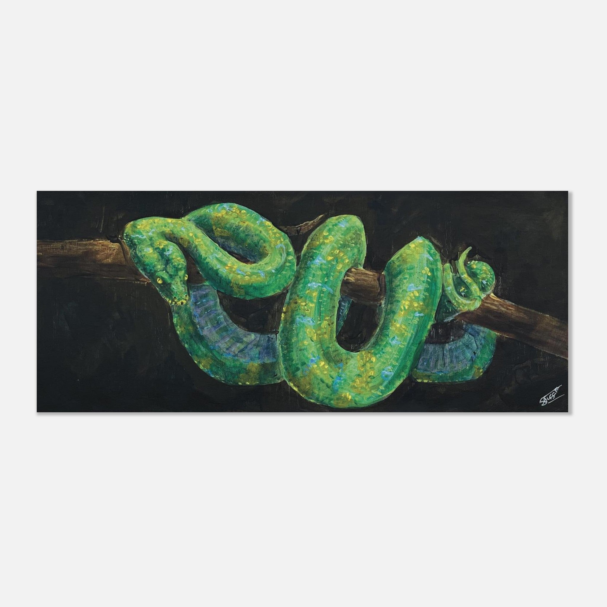 Green Python Print Texture Green Tree Python Matte Print â Uncle Frogface Studio