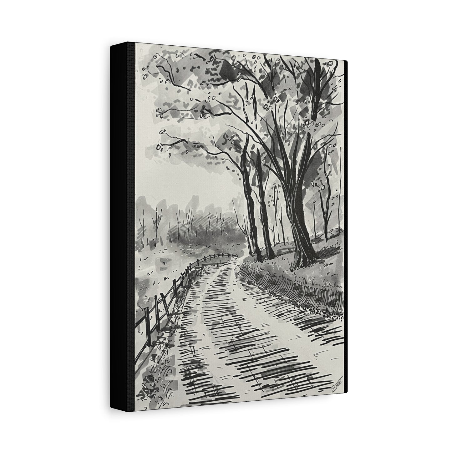 Country Road Canvas Print