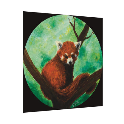 Red Panda Fine Art Print