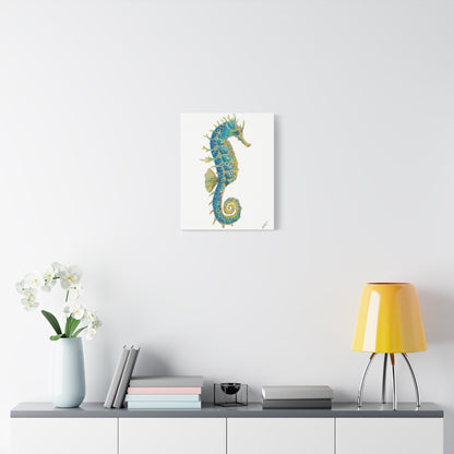 Seahorse Canvas Print