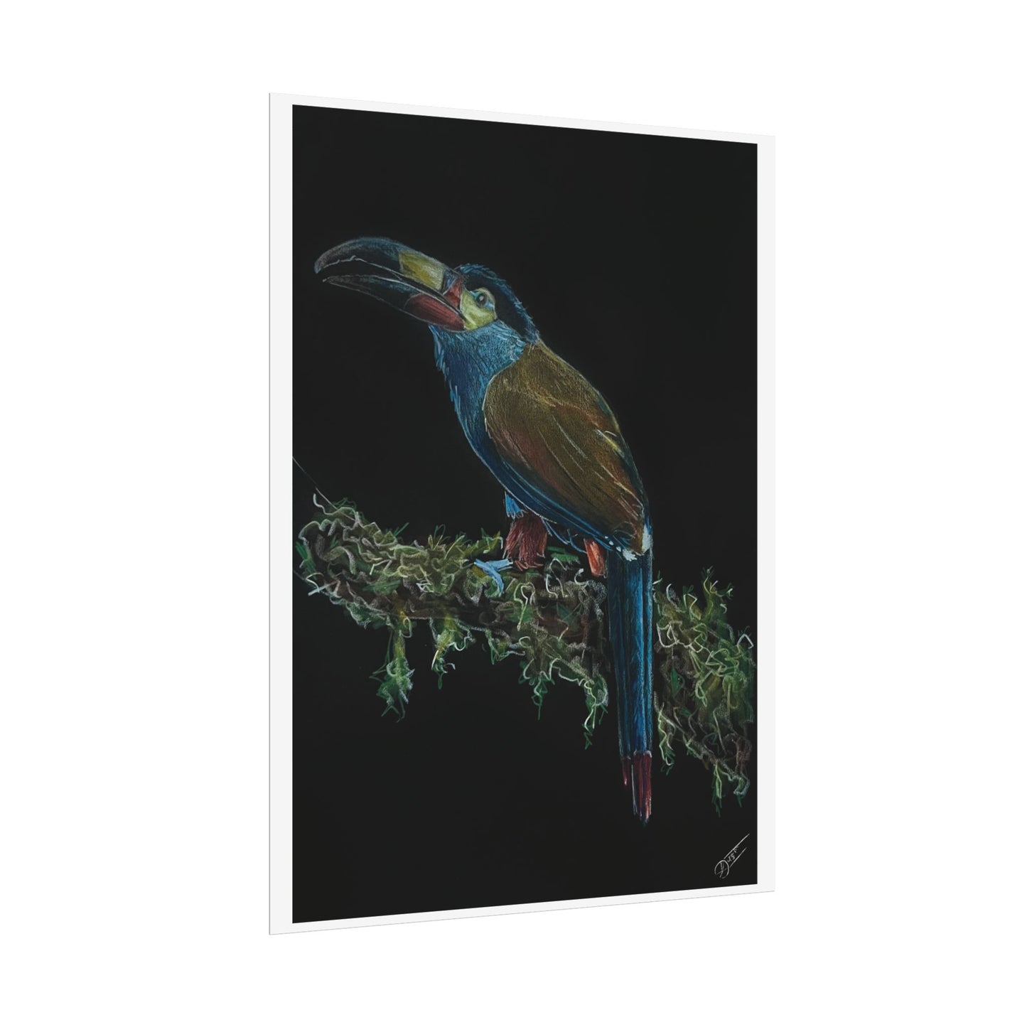 Toucan Blue Fine Art Print