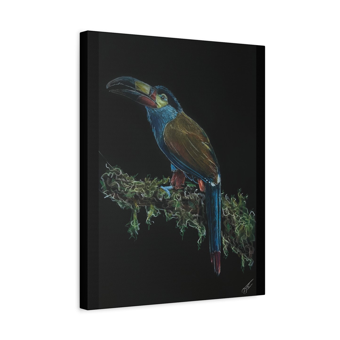 Toucan Blue Canvas Print