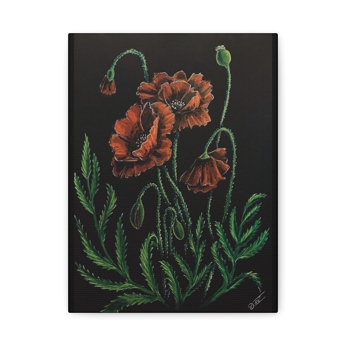 Poppy Bloom Canvas Print