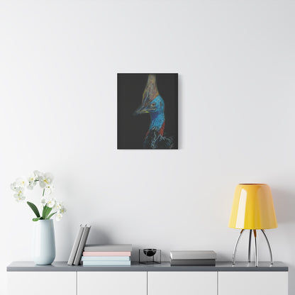 Cassowary Canvas print