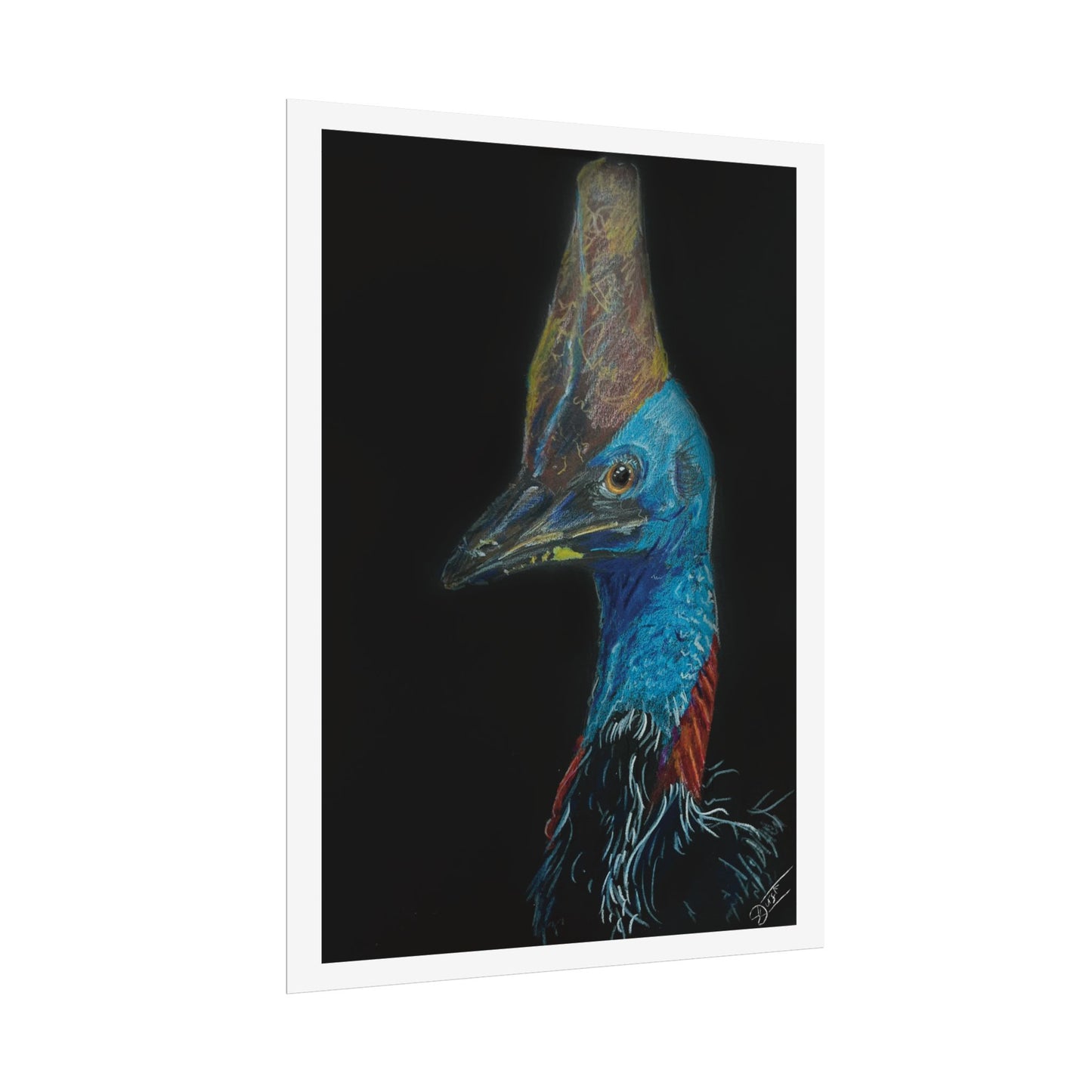 Cassowary Fine Art Print