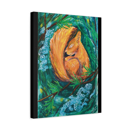 Sleeping Squirrel Canvas Print