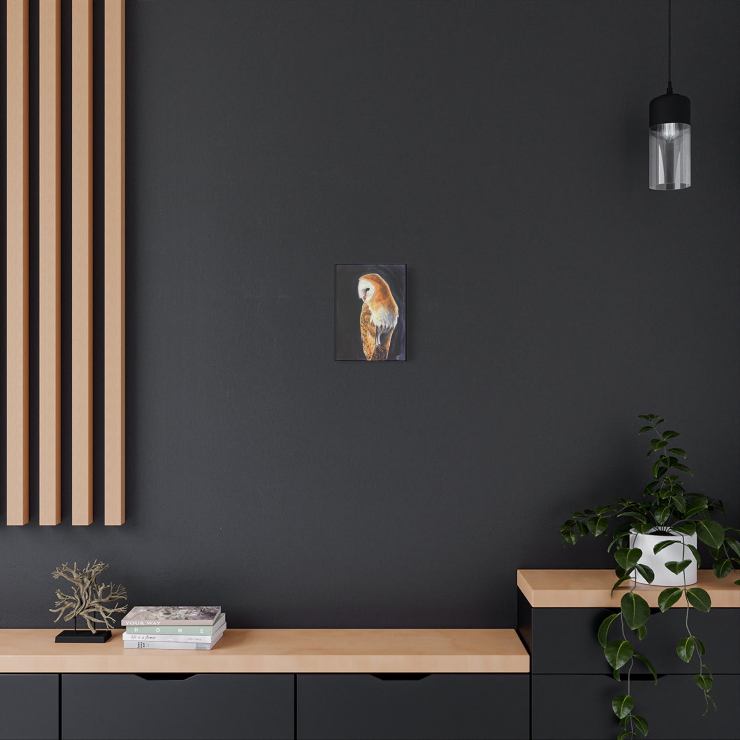 Barn Owl Canvas Print