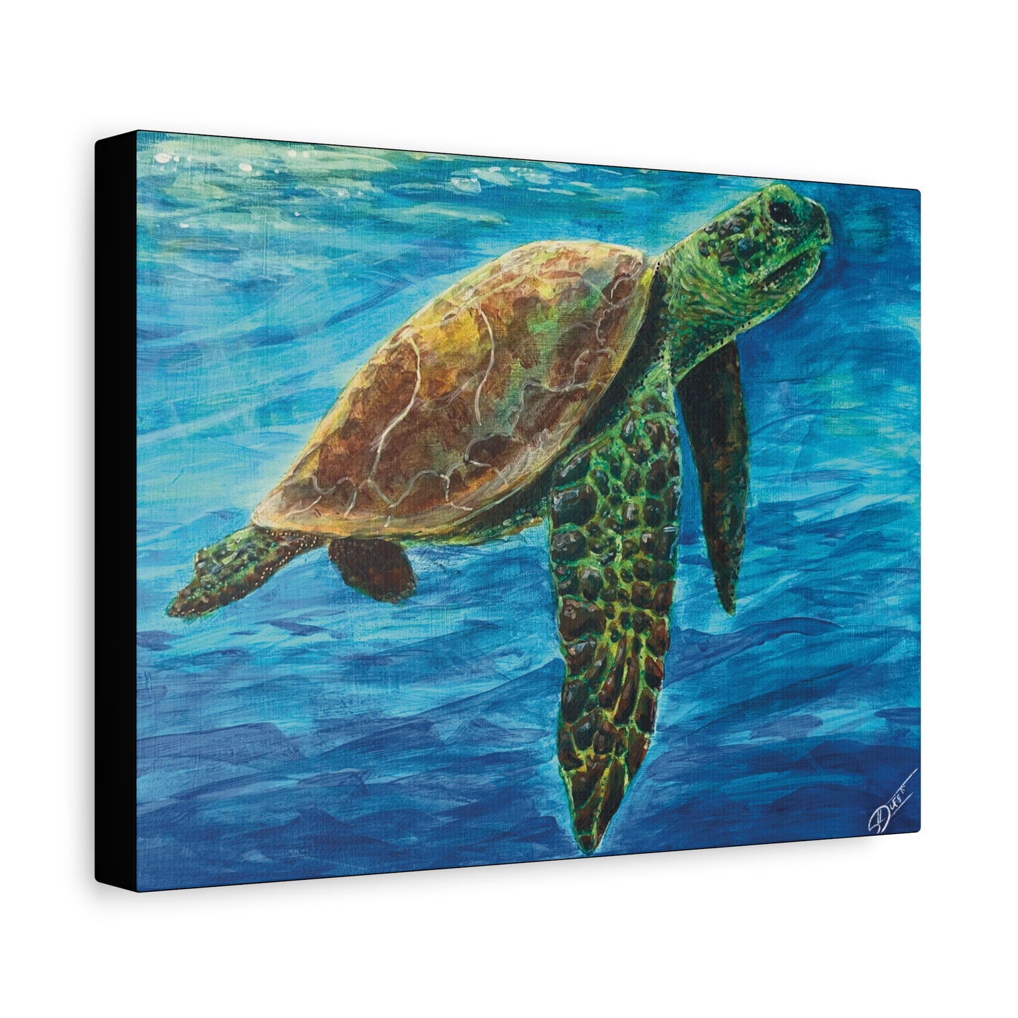 Sea Turtle Canvas Print