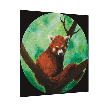 Red Panda Fine Art Print