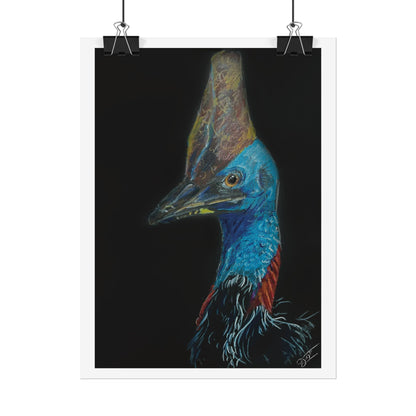 Cassowary Fine Art Print