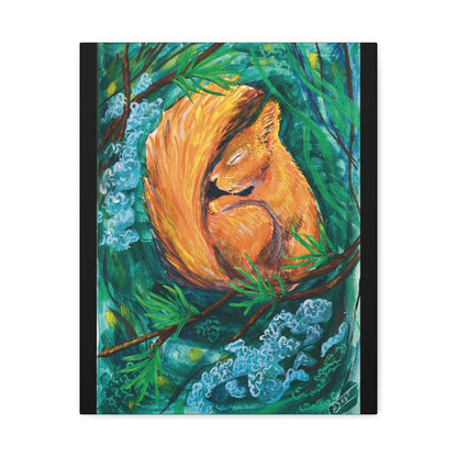 Sleeping Squirrel Canvas Print