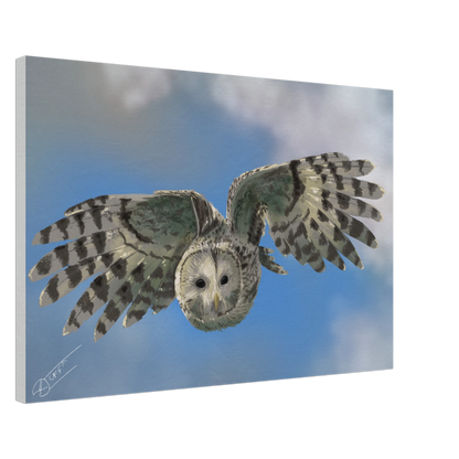 c2e09983-3ded-4fad-993b-675cbbe390e5